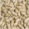 Blanched Peanut