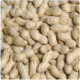 Blanched Peanut