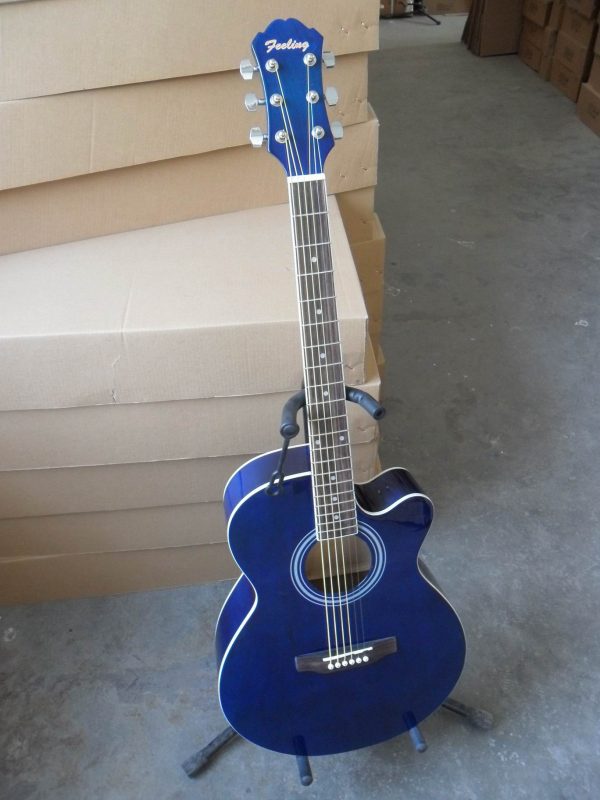 Guitar Products