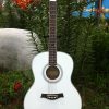 Guitar Products