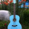 Guitar Products