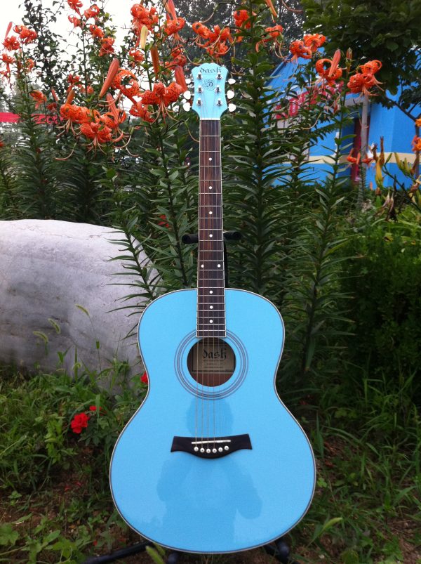 Guitar Products