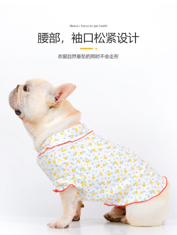 Pet Products