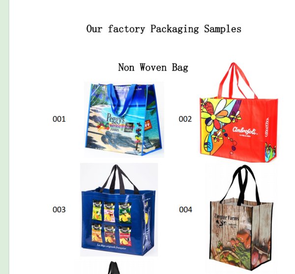 Shopping Bag