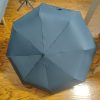 Umbrella