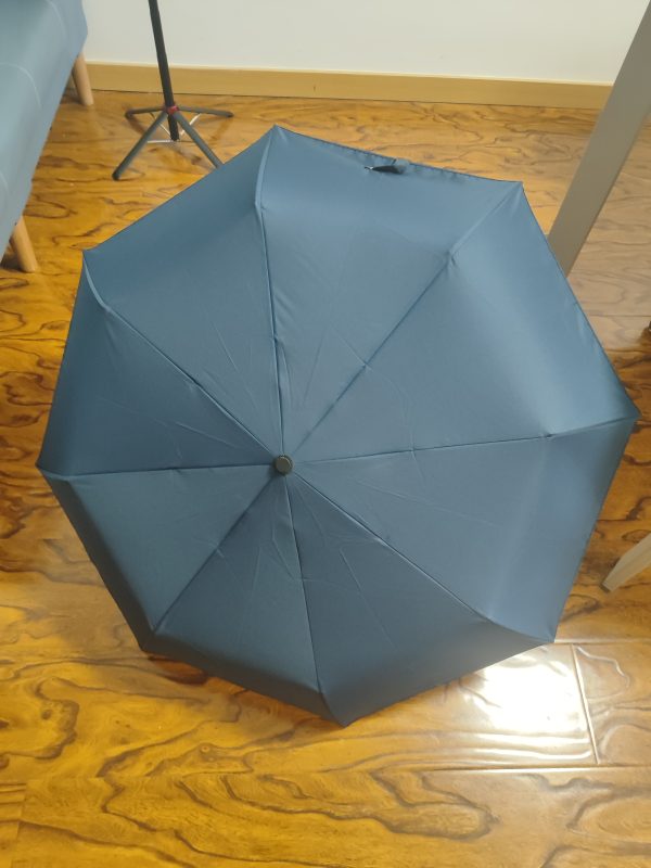 Umbrella