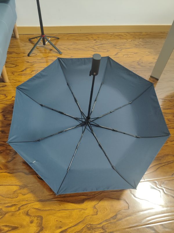 Umbrella