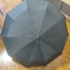 Umbrella