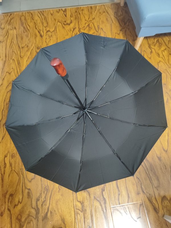 Umbrella